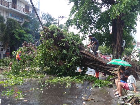 Pohon tumbang  Pohon- Bencana pohon tumbang menimpa sebuah bangunan dapur milik I Wayan Titi yang ada di Banjar Dinas Cegeng, Desa Kerta Buana, Kecamatan Sidemen, Kabupaten Karangasem pada Selasa (21/11)